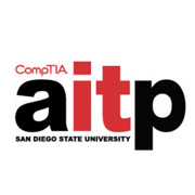 Associated Information Technology Professional