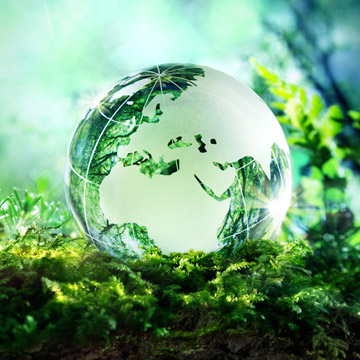 Earth with roots