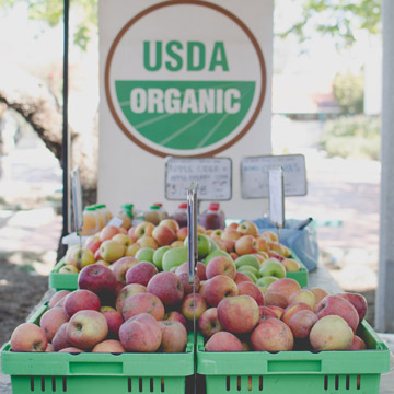 Farmers Market