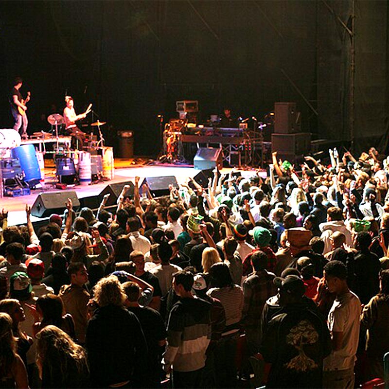 Crowd at concert