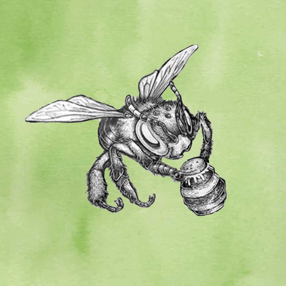 Bee with honey jar b/w illustration