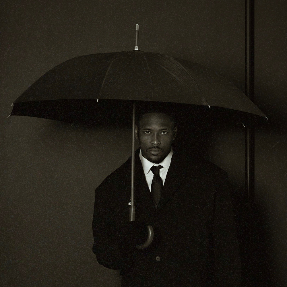 Photo of a crowd at a GreenFest Concert