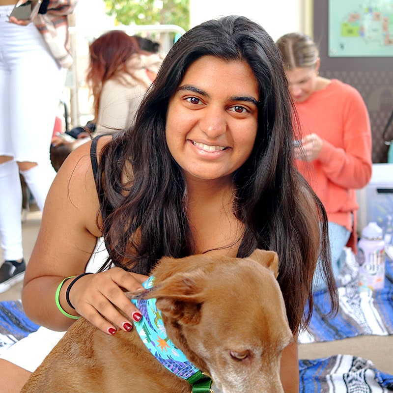 Student petting a dog at Union courtyard - ASUB Event