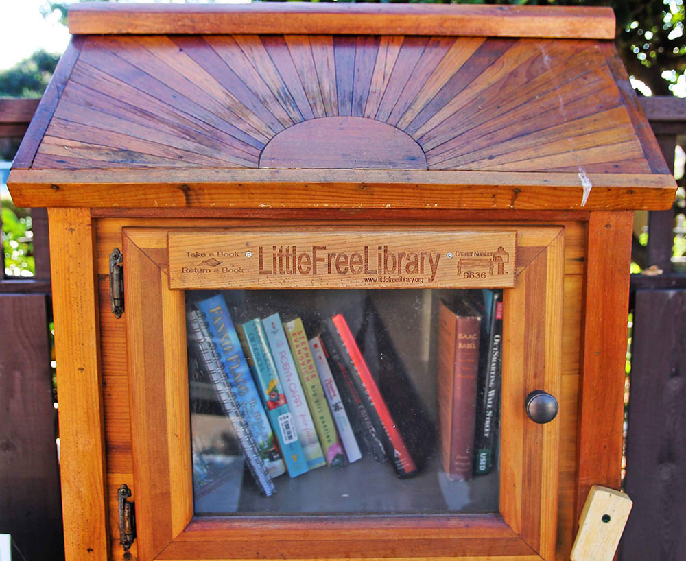Close up photo of a little library?2024-04-25