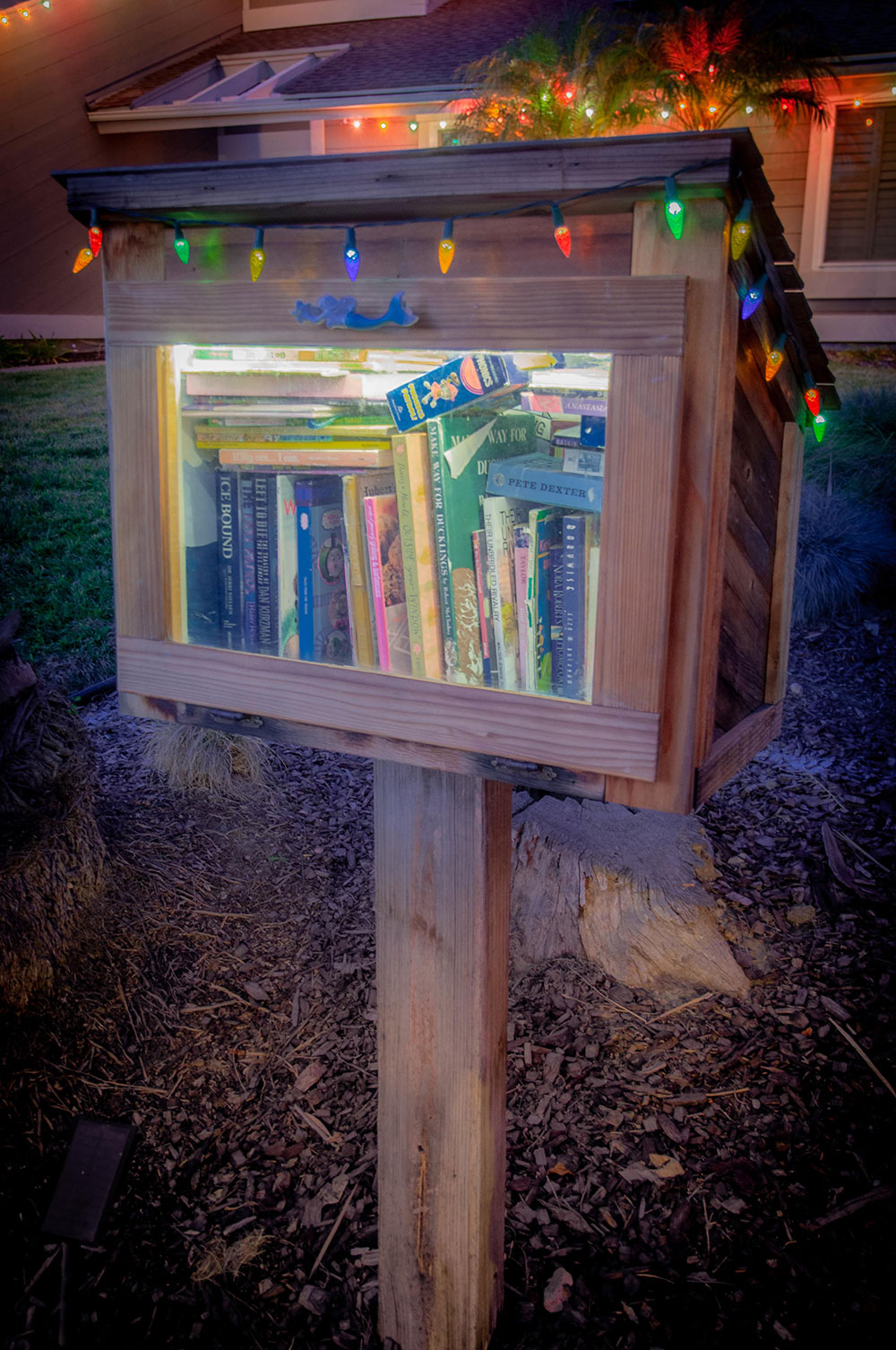 Free Little Library?2024-03-28