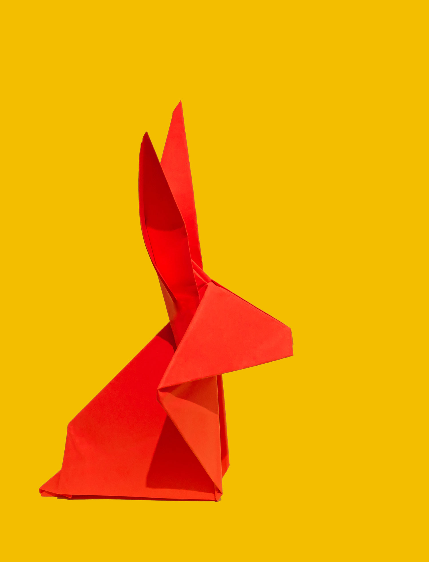 Origami Rabbit?2024-04-26