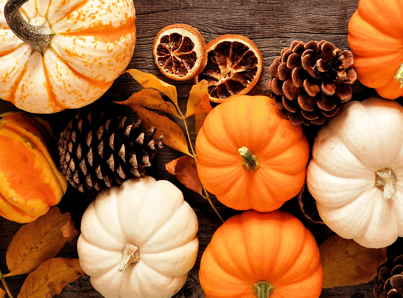 Variety of pumpkins and Fall spices?2024-02-25