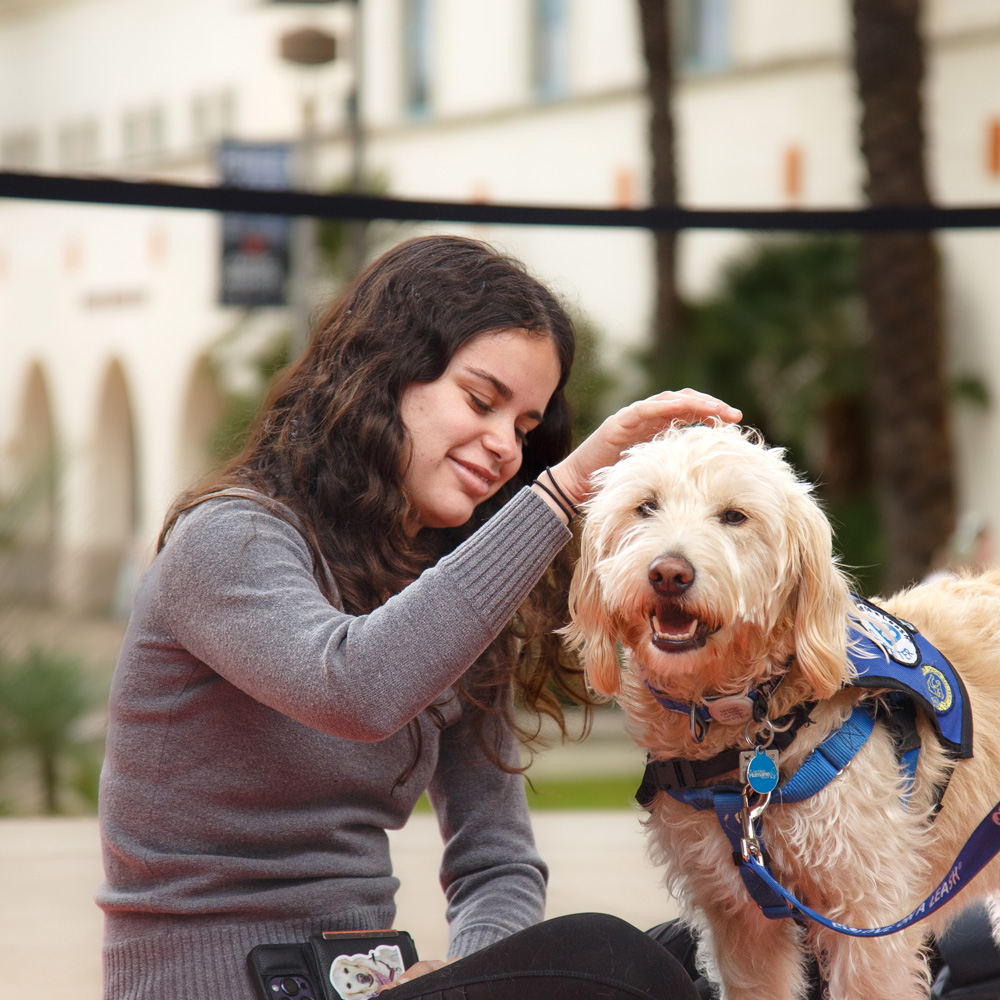 Skeeter enjoying pets from a SDSU community member.