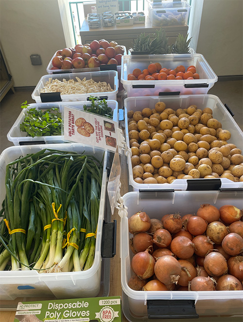 Various types of produce in storage bins.