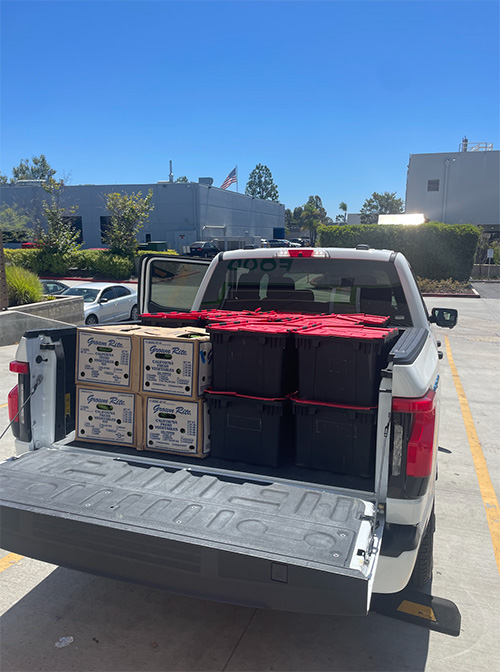 Boxes of produce loaded into a truck.