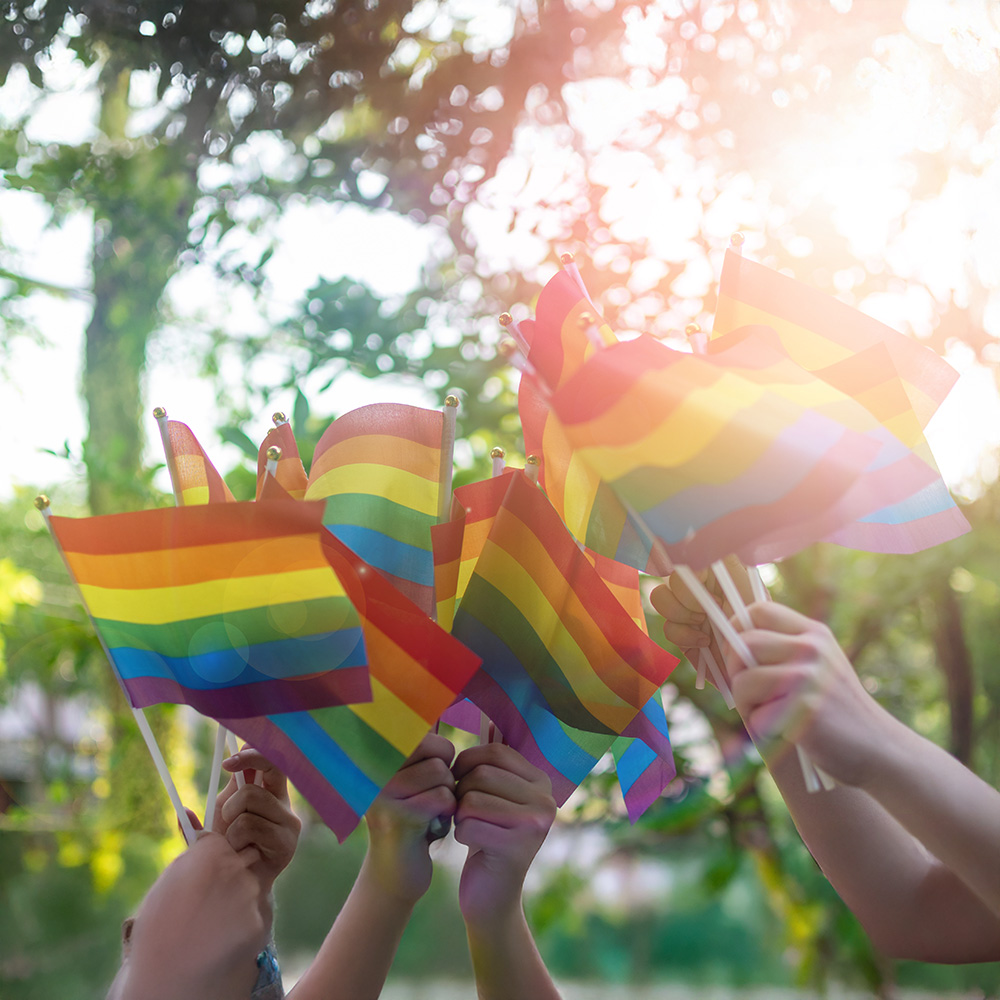 People holding mini versions of the pride flag.