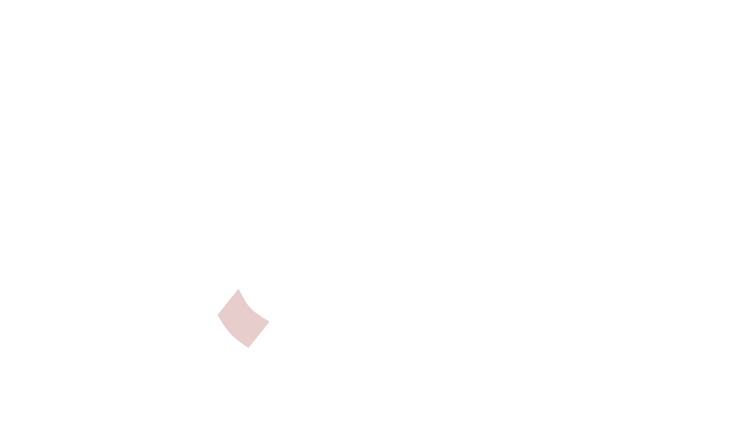 ballot pink illustration