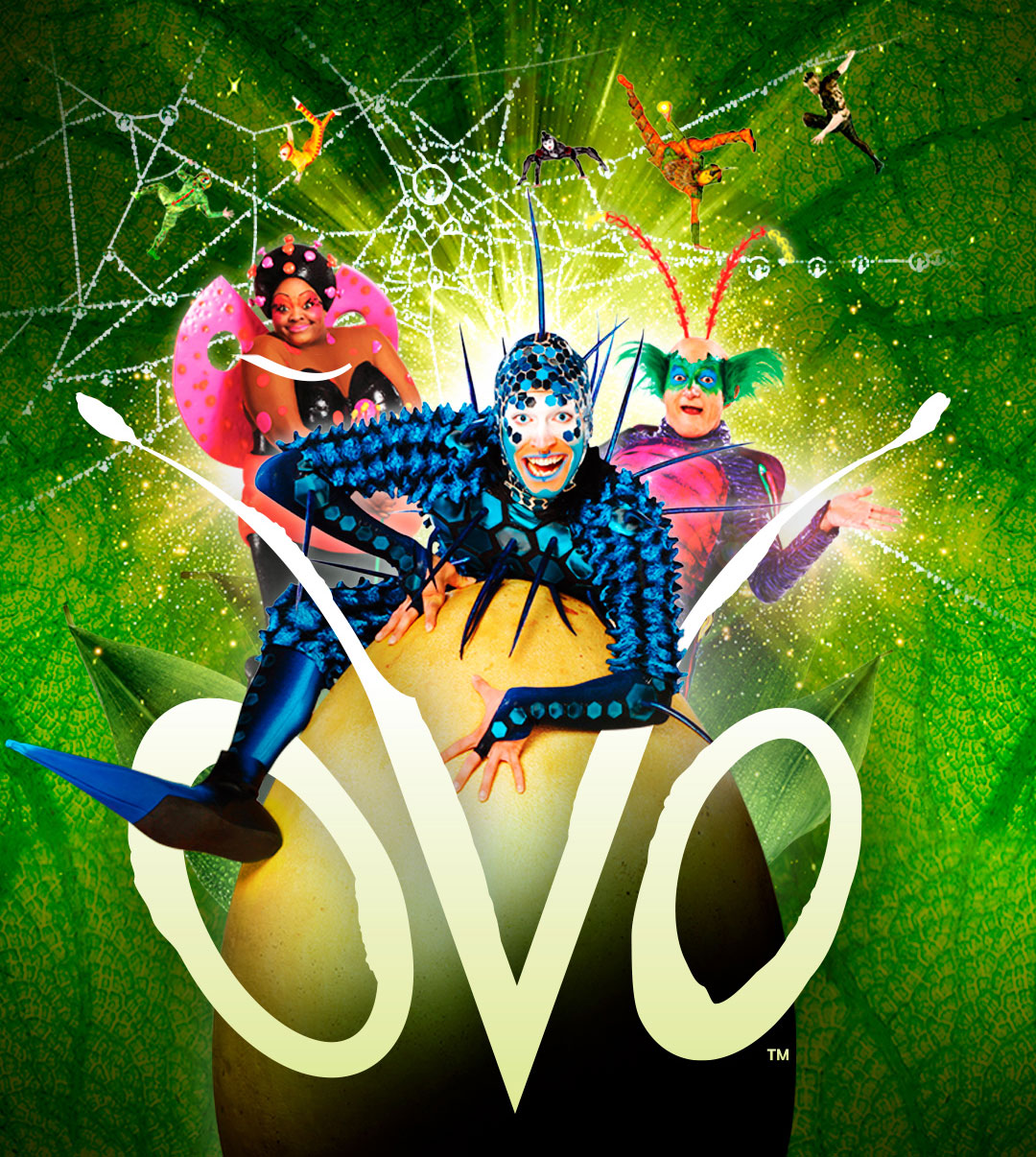 Cirque du Soleil: OVO | Viejas Arena - Official Website | Associated 